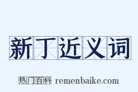 新丁近义词是什么意思的图片